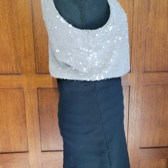Express sequence pencil skirt dress - Picture 4 of 5